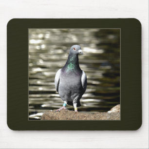 Pigeon Mouse Mat