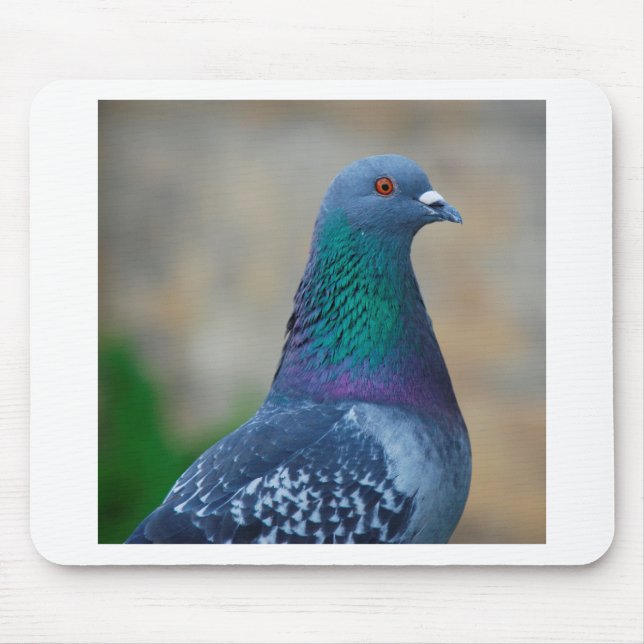 Pigeon Mouse Mat (Front)
