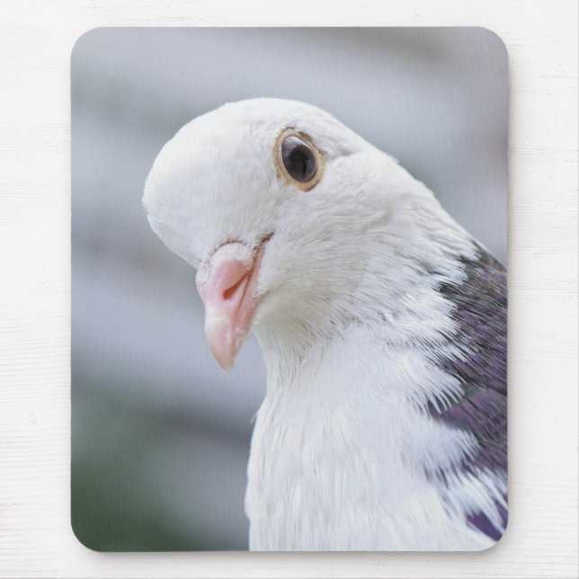 Pigeon Mouse Mat (Front)