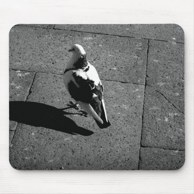 Pigeon Mousepad (Front)
