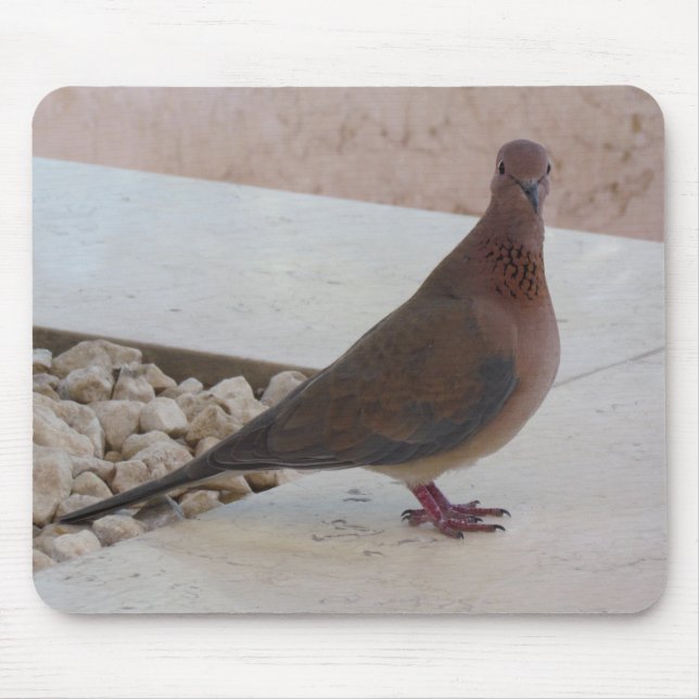 Pigeon mousepad, customizable mouse mat (Front)