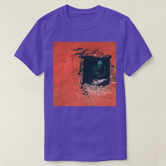 pigeon Nature amp pigeon Red wall Mother pigeon Ph T-Shirt (Design Front)