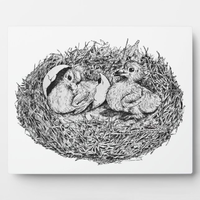 Pigeon Nest Babies Plaque (Front)