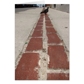 Pigeon On the Freedom Trail