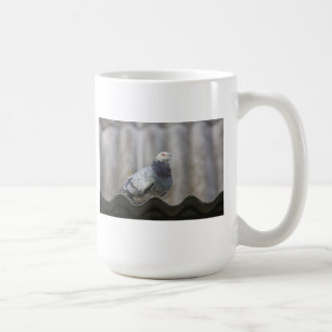 Pigeon on the roof. coffee mug