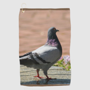 Pigeon Photograph Golf Towel