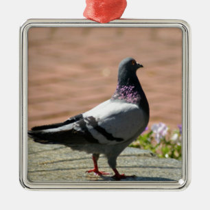 Pigeon Photograph Metal Tree Decoration