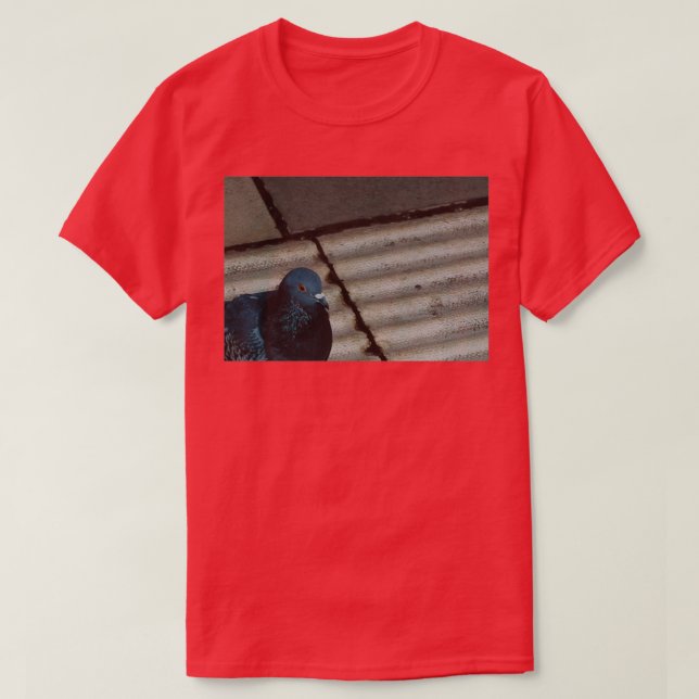 Pigeon photography T-Shirt (Design Front)