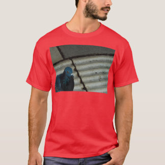 Pigeon photography T-Shirt