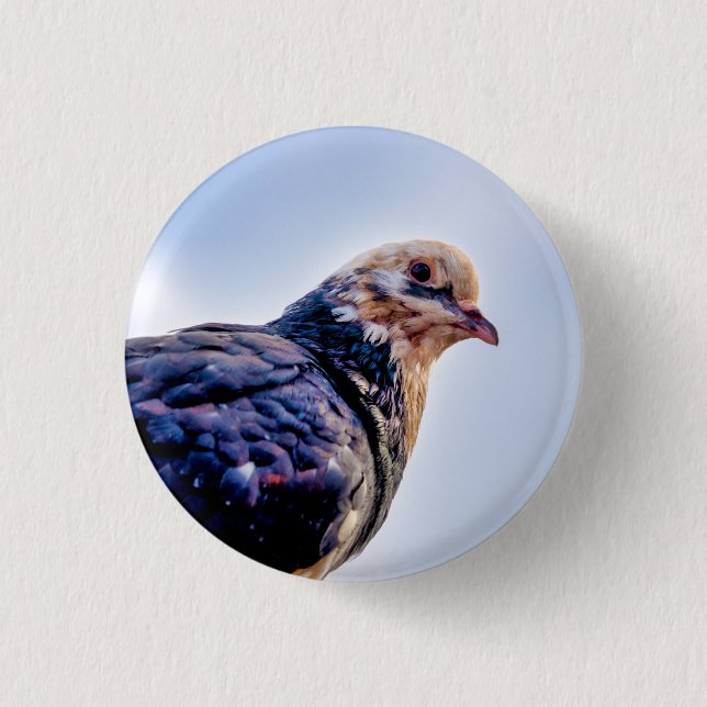Pigeon Portrait 3 Cm Round Badge (Front)