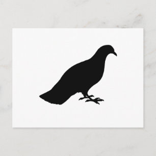 Pigeon Postcard