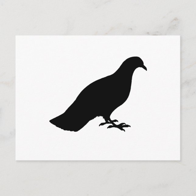 Pigeon Postcard (Front)