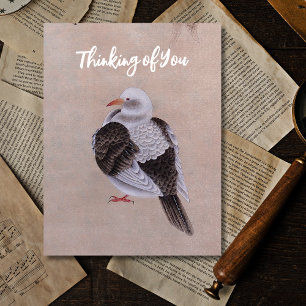 Pigeon Postcard
