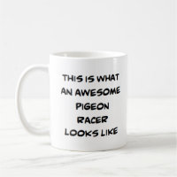 pigeon racer, awesome