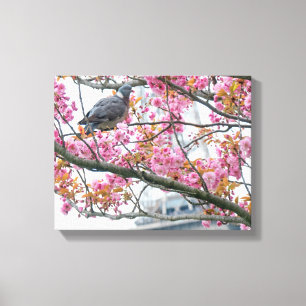 Pigeon Resting On A Tree Branch Canvas Print