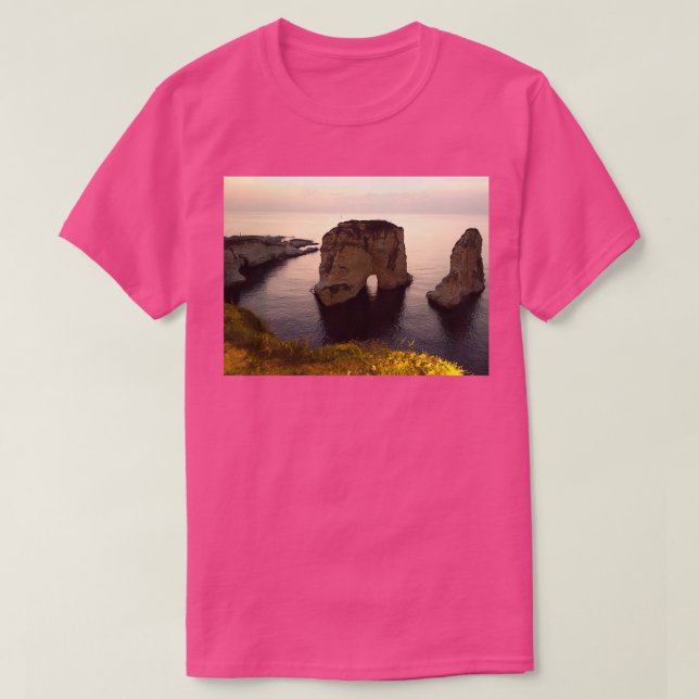 Pigeon Rocks T-Shirt (Design Front)