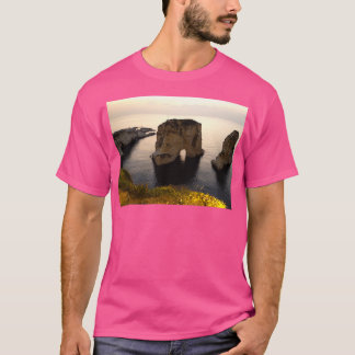 Pigeon Rocks T-Shirt