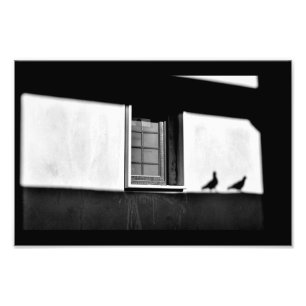 Pigeon Shadows Photo Print
