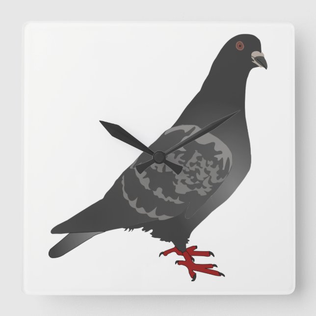Pigeon Square Wall Clock (Front)