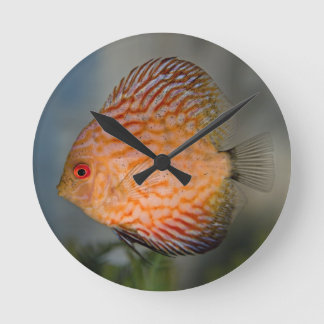 Pigeon Stone Discus Clock