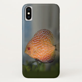 Pigeon Stone Discus iPhone X Case