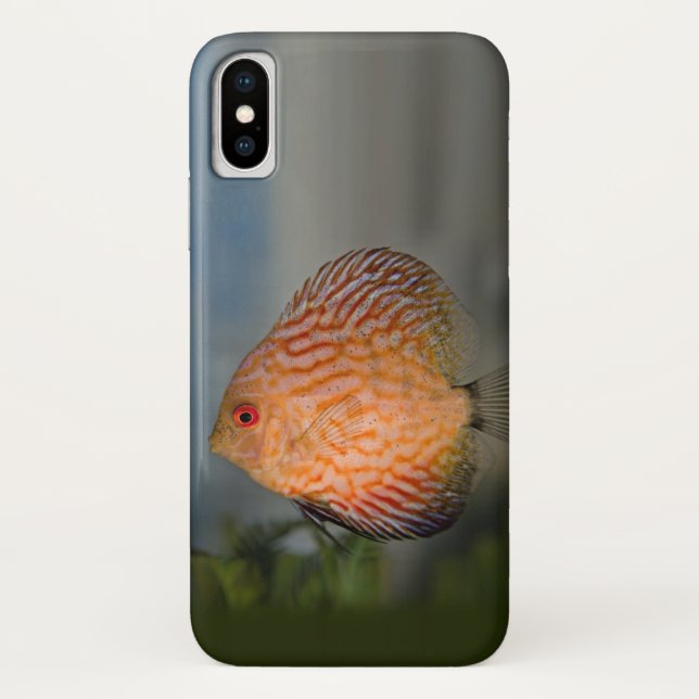 Pigeon Stone Discus iPhone X Case (Back)