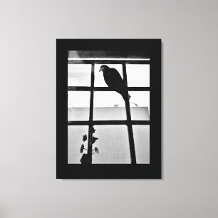 Pigeon Thoughts Canvas Print