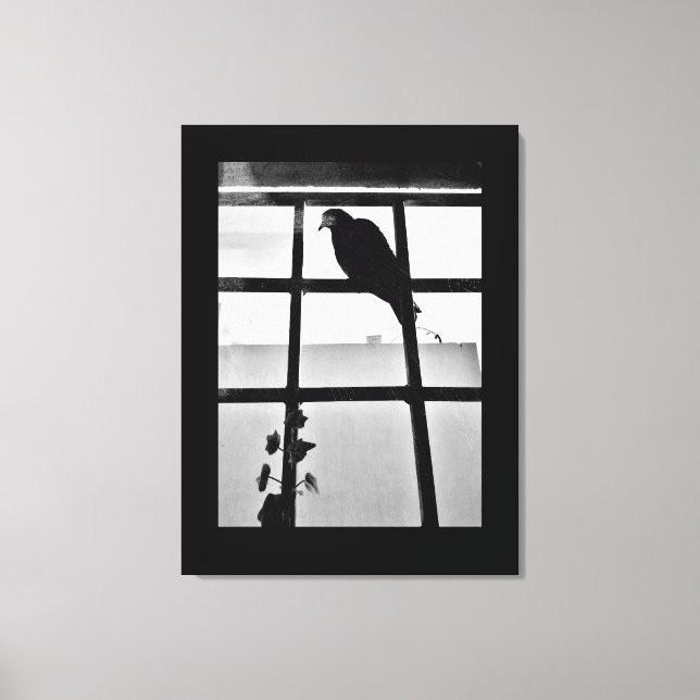 Pigeon Thoughts Canvas Print (Front)