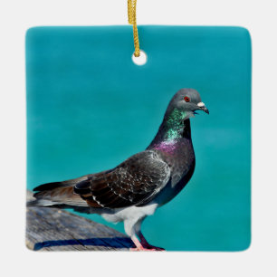 Pigeon With A View Ceramic Ornament
