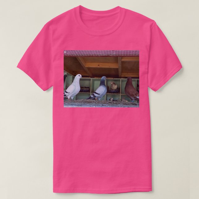 Pigeons 3 1 T-Shirt (Design Front)