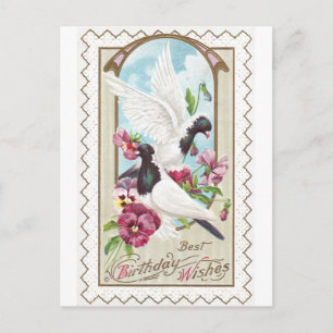 Pigeons and Pansies Vintage Birthday Postcard