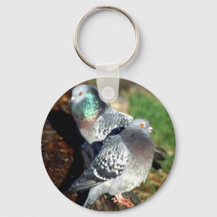 Pigeons Day Dreaming Key Ring
