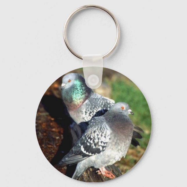 Pigeons Day Dreaming Key Ring (Front)
