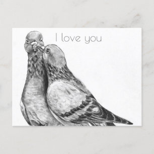 Pigeon's embrace Postcard