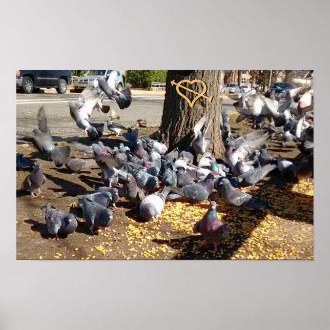 Pigeons Gathering Around Tree with Heart Poster (Front)