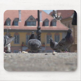 Pigeons in the City Mouse Mat