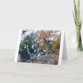 Pigeons, Lloyd Park, Walthamstow, London Card