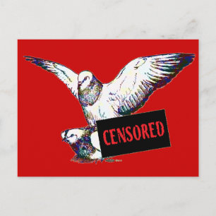 Pigeons Mating:  Censored! Postcard