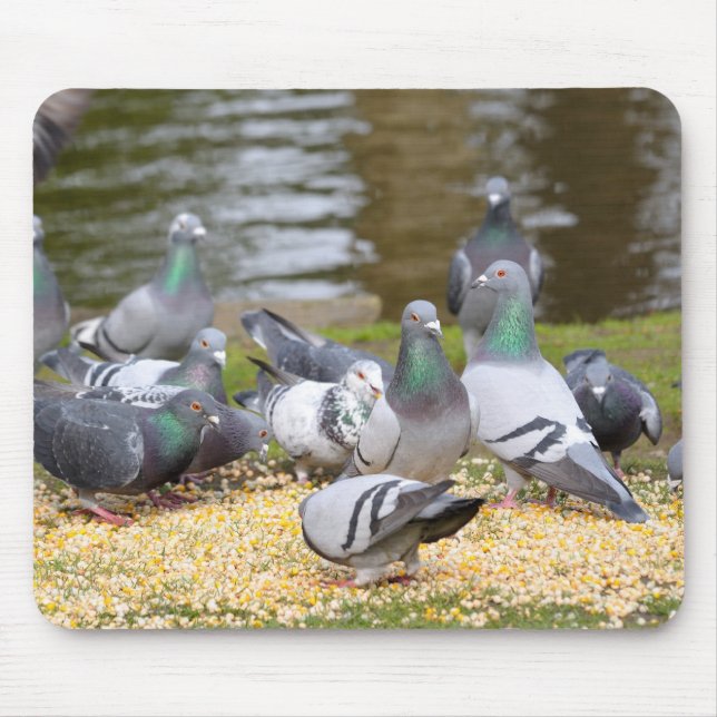 pigeons mouse mat (Front)