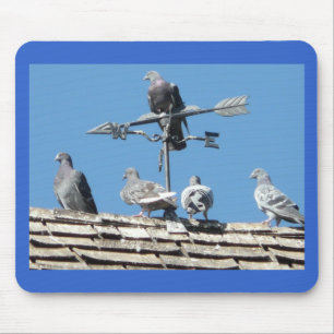 pigeons mouse mat