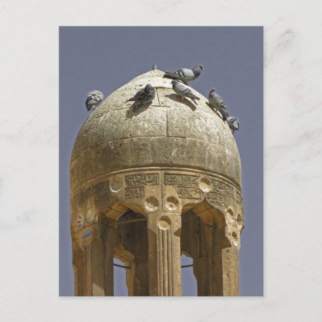 Pigeons on a minaret postcard (Front)