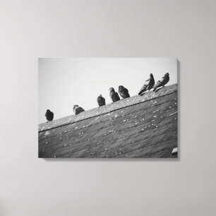 Pigeons on a Roof Canvas Print
