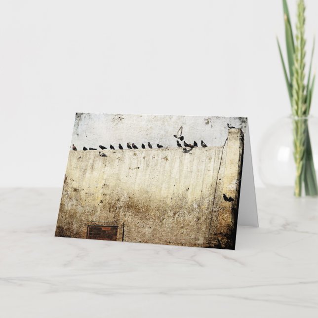 Pigeons on a Roof Card (Front)