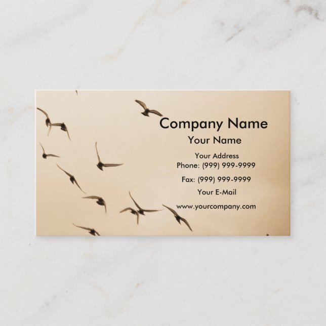Pigeons on the sky business card (Front)