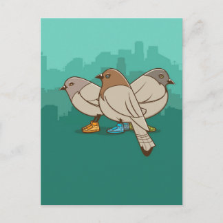 Pigeons With Sneakers Funny Photo Graphic Design Postcard