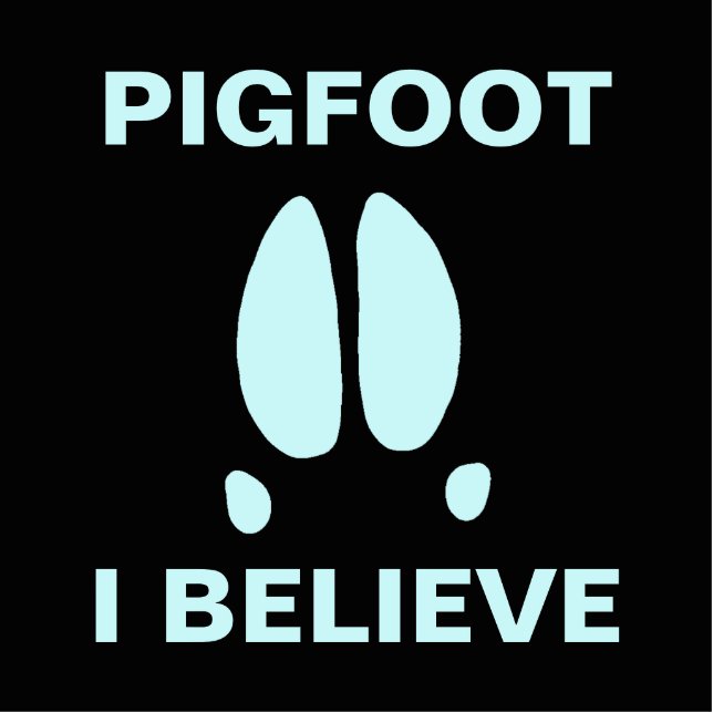 Pigfoot - I Believe Photo Sculpture Magnet (Front)