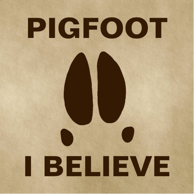 Pigfoot - I Believe Photo Sculpture Magnet (Front)