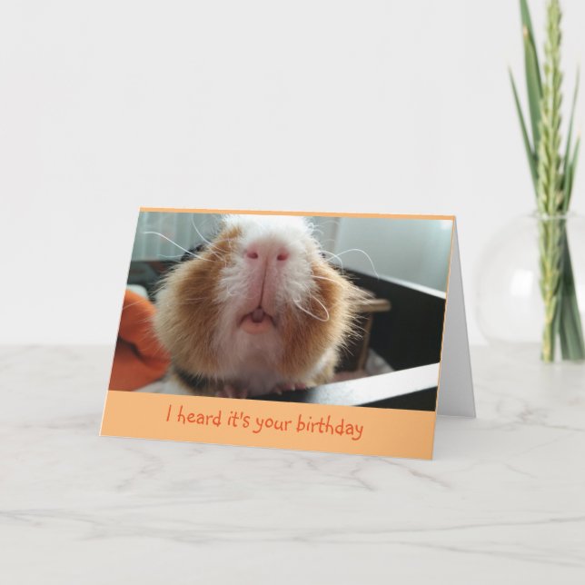 Piggie kisses and curly whiskers birthday card (Front)
