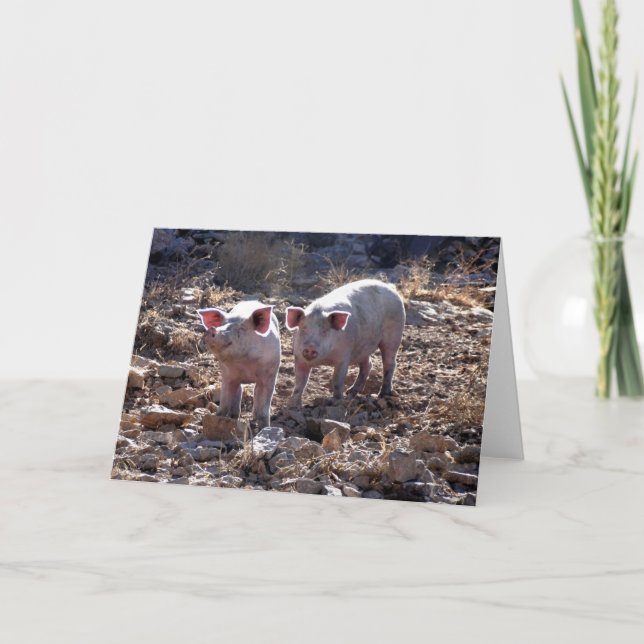 Piggies Card (Front)