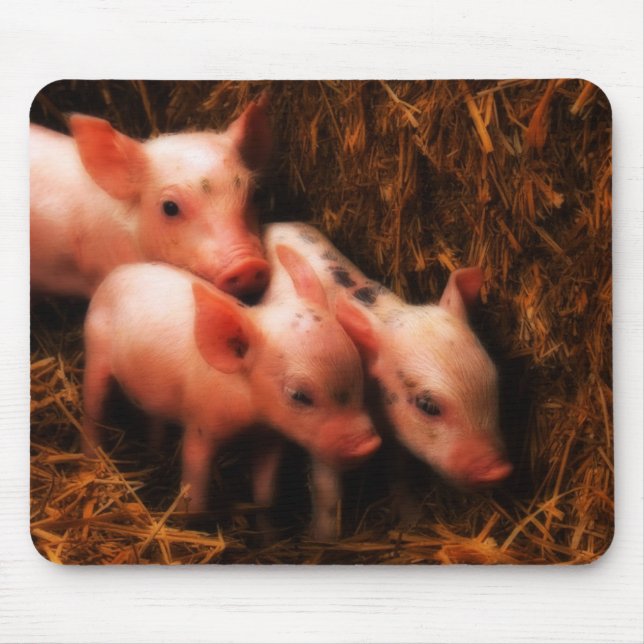 PIggies Mouse Mat (Front)